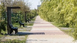 Благоустройство пешеходной зоны завершили в селе Александровском