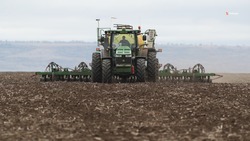 Порядка 2 млн га полей Ставрополья засеяли озимыми культурами