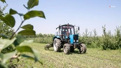 Питомник Александровского округа получит новую технику