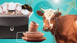 Сон с пчёлами и «коробка» для бизнеса: что может предложить инвесторам Александровский округ?
