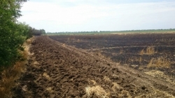 С начала жатвы пожары уничтожили 100 гектаров зерновых
