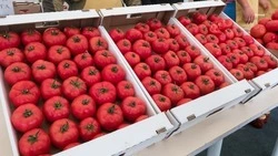 Продовольствие на Ставрополье поставляют без перебоев