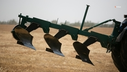 Аграрии Ставрополья собирают урожай сахарной свёклы, подсолнечника и кукурузы