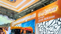 Ставропольский стенд привлёк более 3 млн посетителей выставки «Россия» 