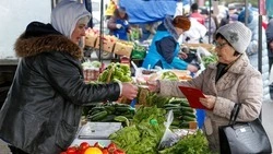 Ярмарочный павильон возведут в ставропольском селе благодаря губернаторской программе