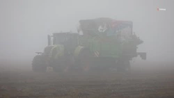 Ставропольские аграрии выполнили план по уборке кукурузы на 41,6%