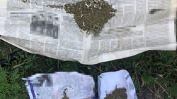 Полиция нашла килограмм марихуаны у жителя Александровского района