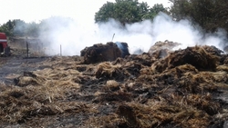 В Апанасенковском огонь уничтожил 18 рулонов сена