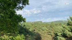 Природный заказник Александровского округа готовят к туристическому сезону