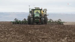 Порядка 2 млн га полей Ставрополья засеяли озимыми культурами