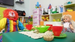 Уроки по изготовлению игрушек из фетра проводят для детей в Александровском округе