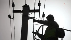 Свыше 10 км электросетей обновили в Александровском округе