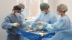 На Ставрополье провели 12 операций по трансплантации органов 